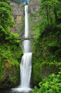 Multnomah Falls was the highest, at 620 feet. It is the most-visited natural site in the state of Oregon... and understandably so!