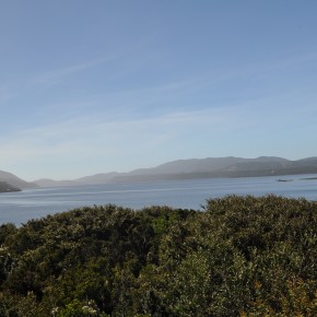 Chiloe National Park (1/13/11)